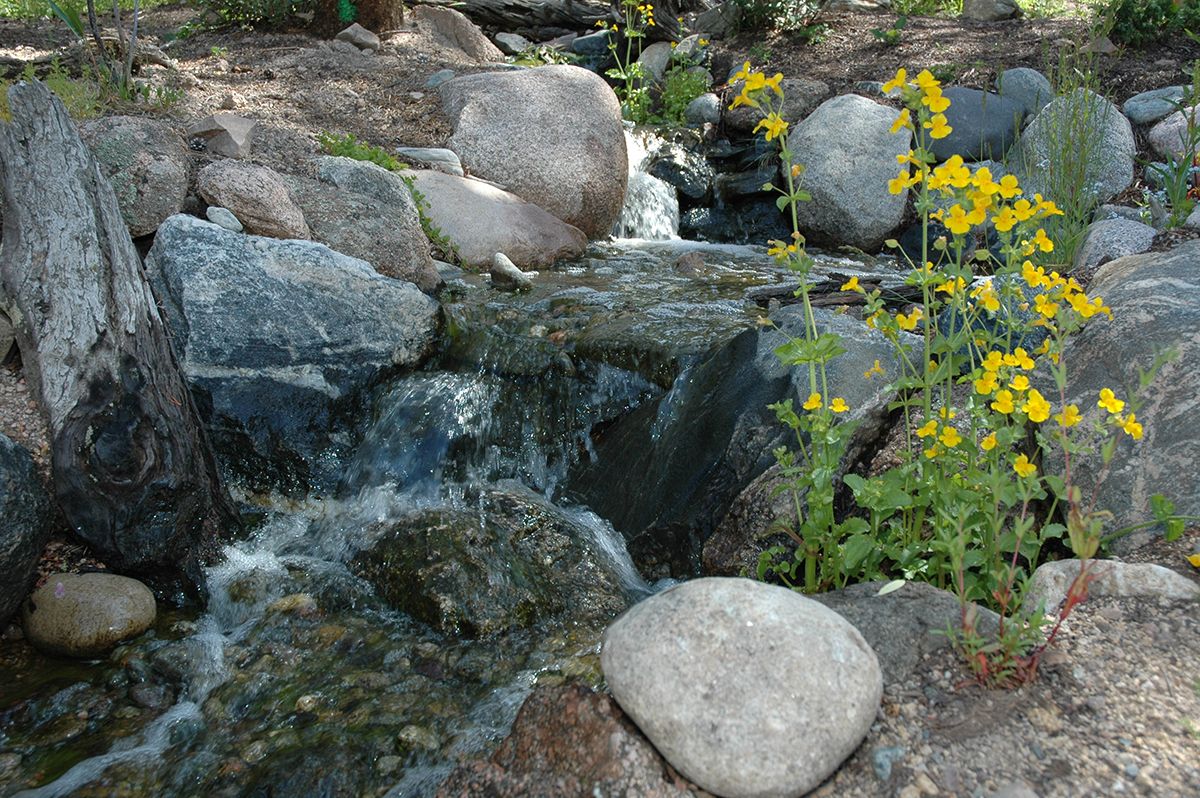 Certified Pond builder - pond with stones