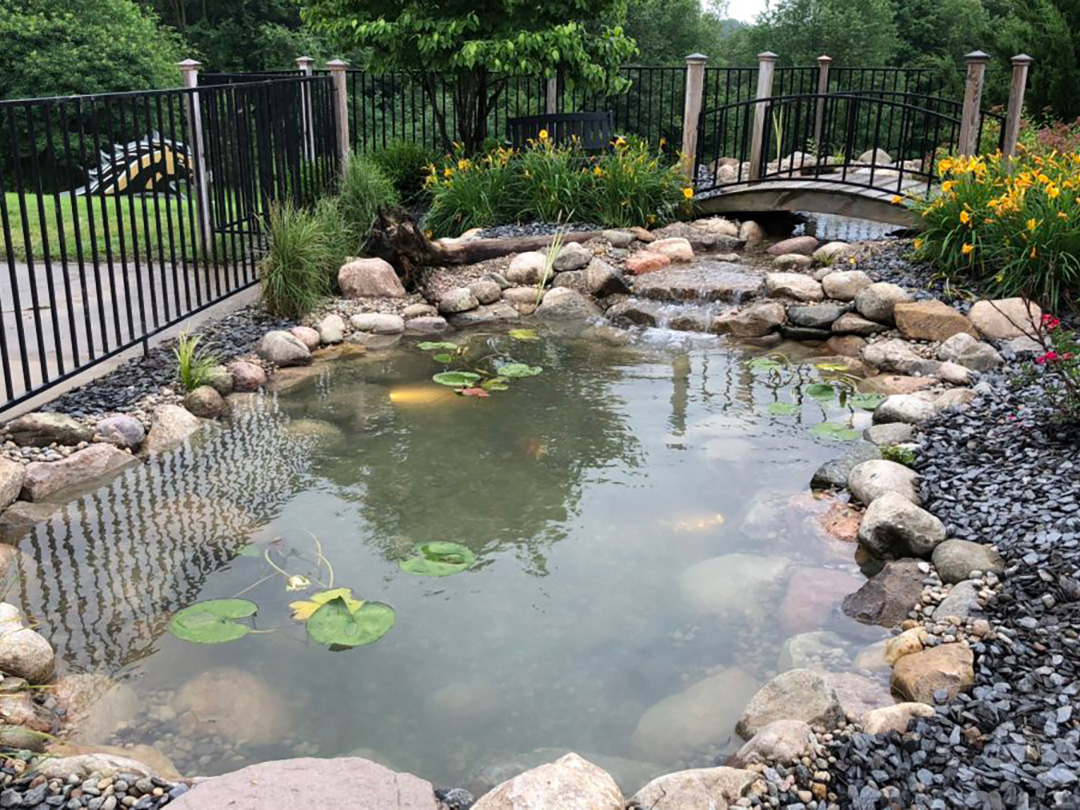 backyard koi pond