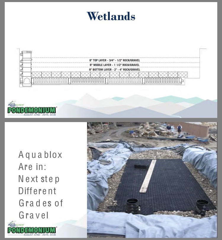 Wetland Filter Contruction