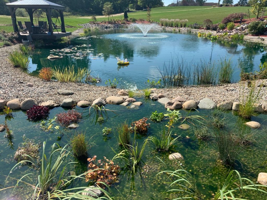 Wetland Filter Construction