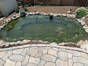Koi Pond with Wetland Filter