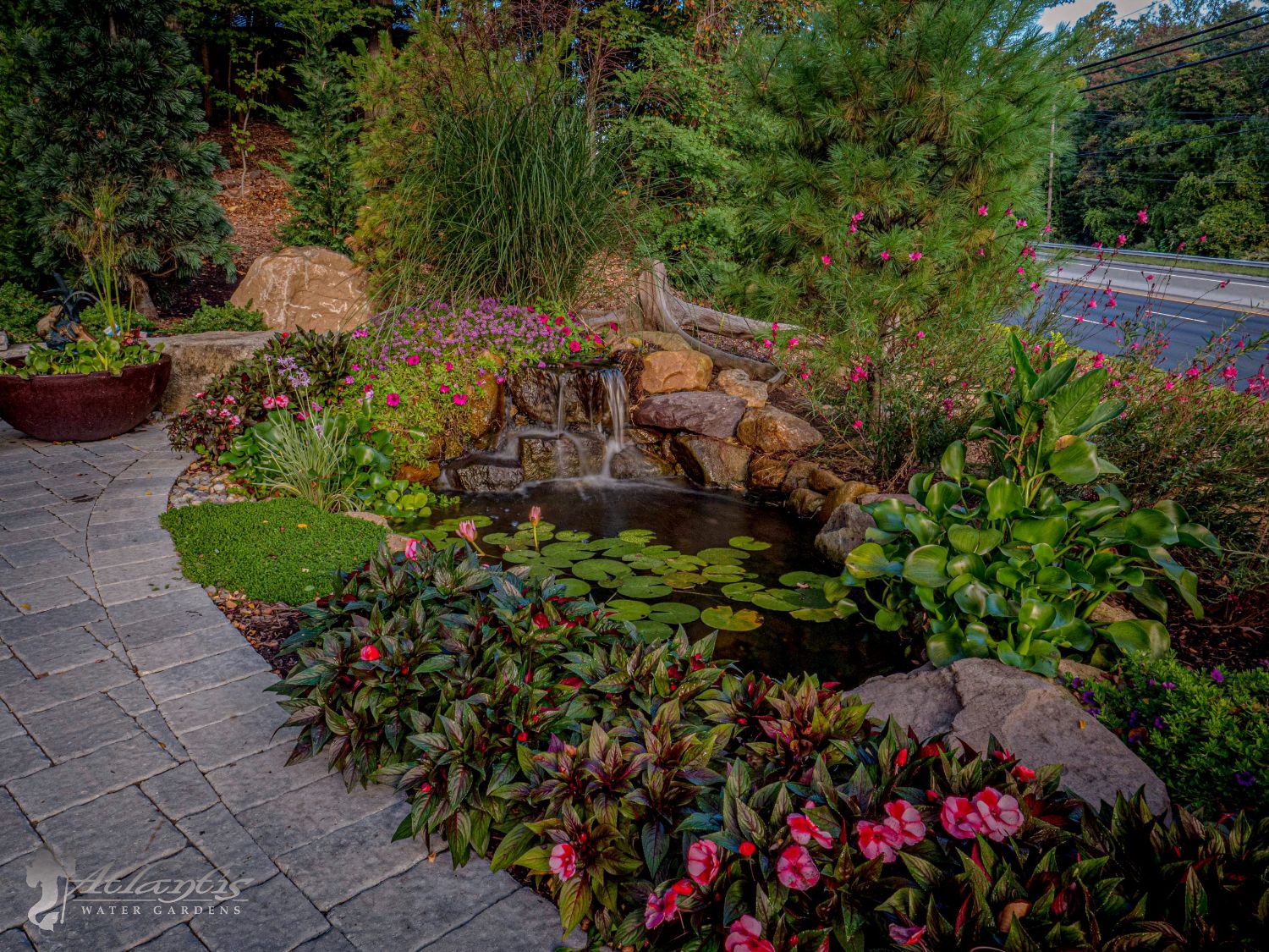 Tips for Planting Your Pond