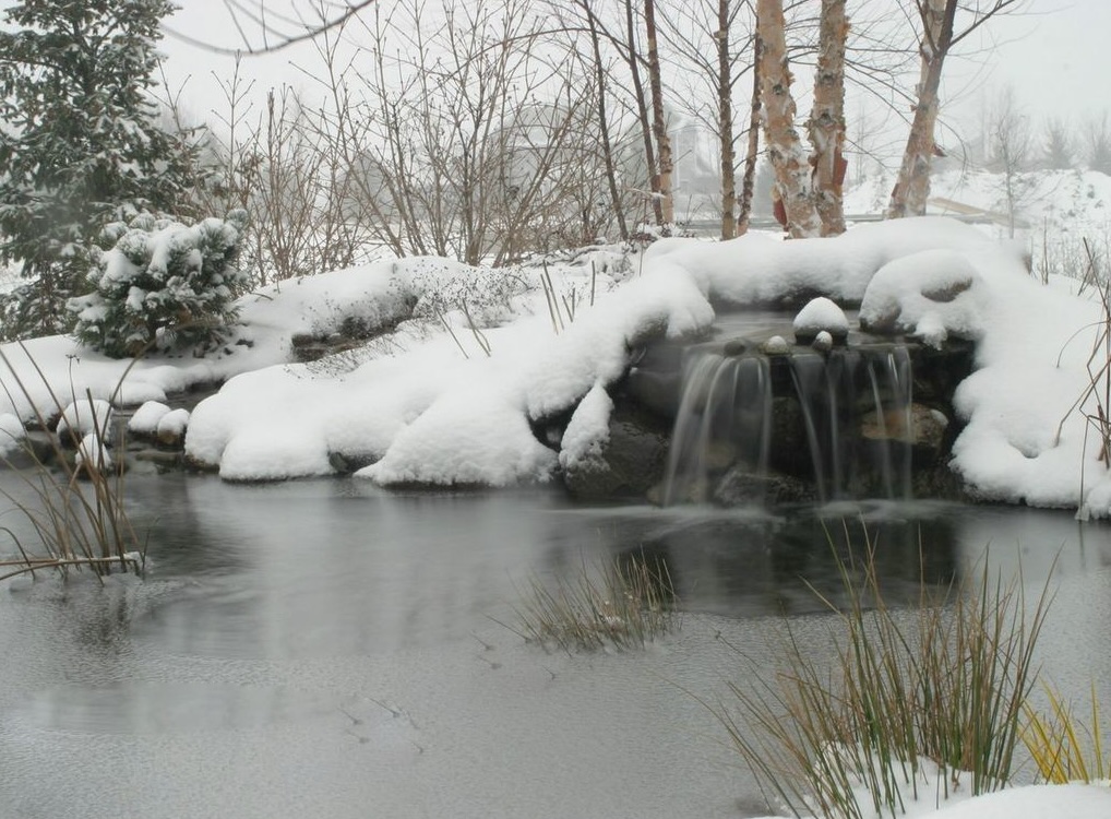Check for Ice Buildup
