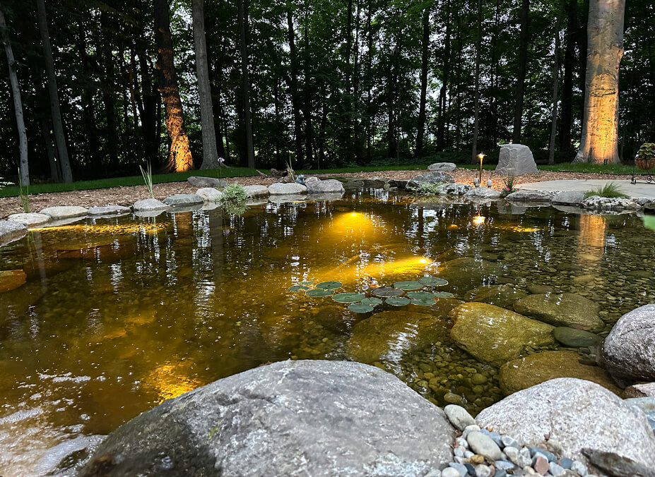 Pond with outdoor lighting. It has walkway around it and trees at the back