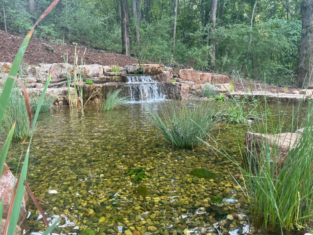Wetland Filters for Ponds Platinum Ponds & Landscaping