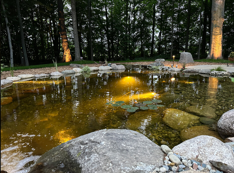 Wetland Filter