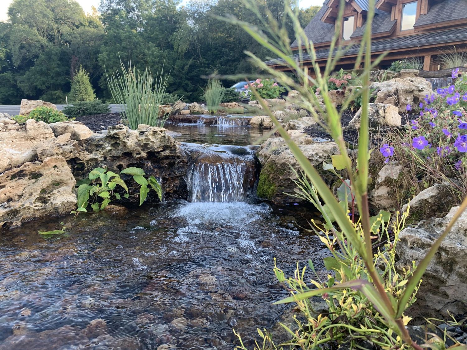 Waterfall with pond and plants.