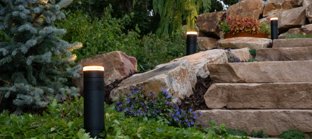Smart Technology Integration - outdoor speaker