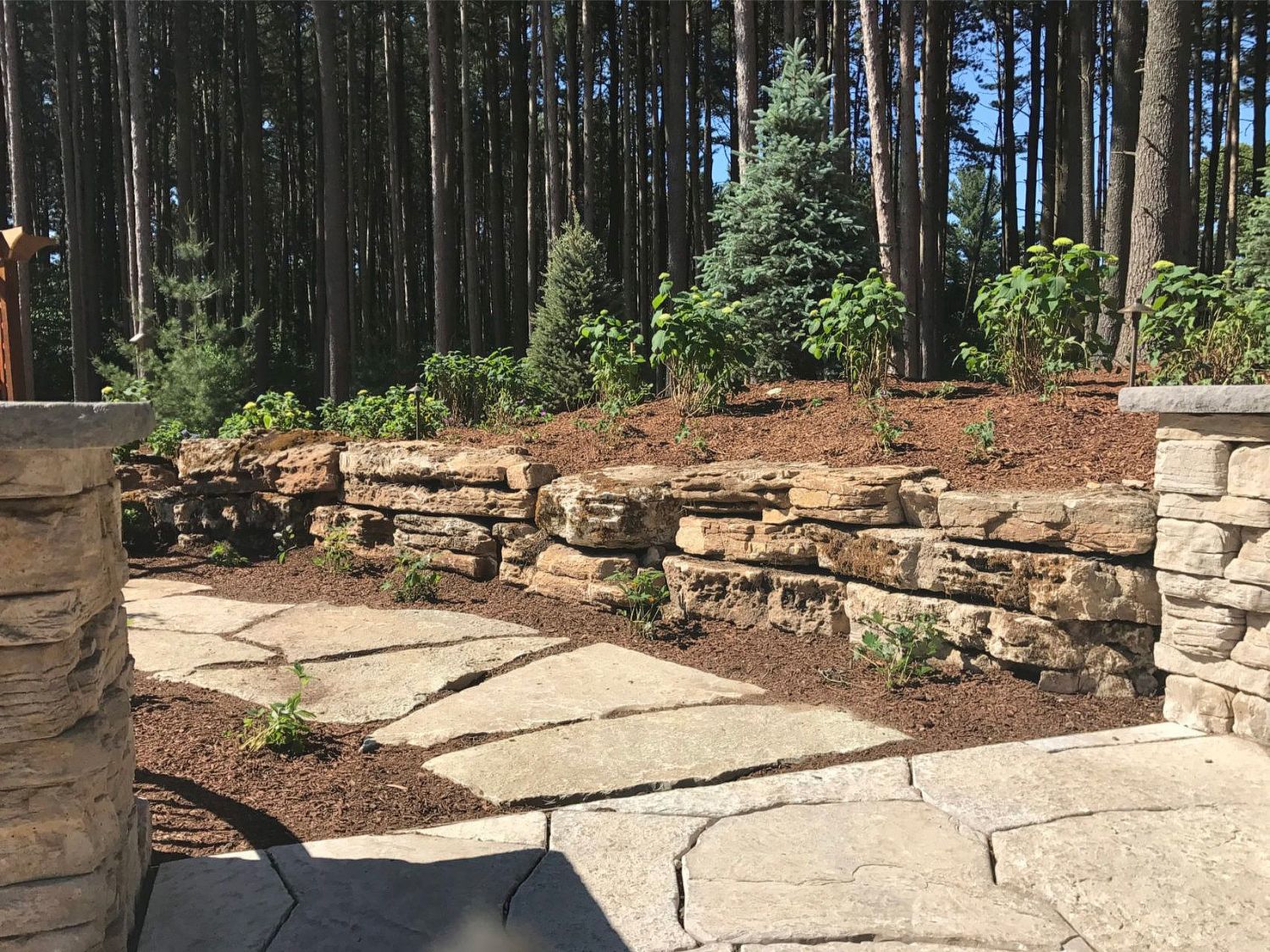 Low Maintenance Yard