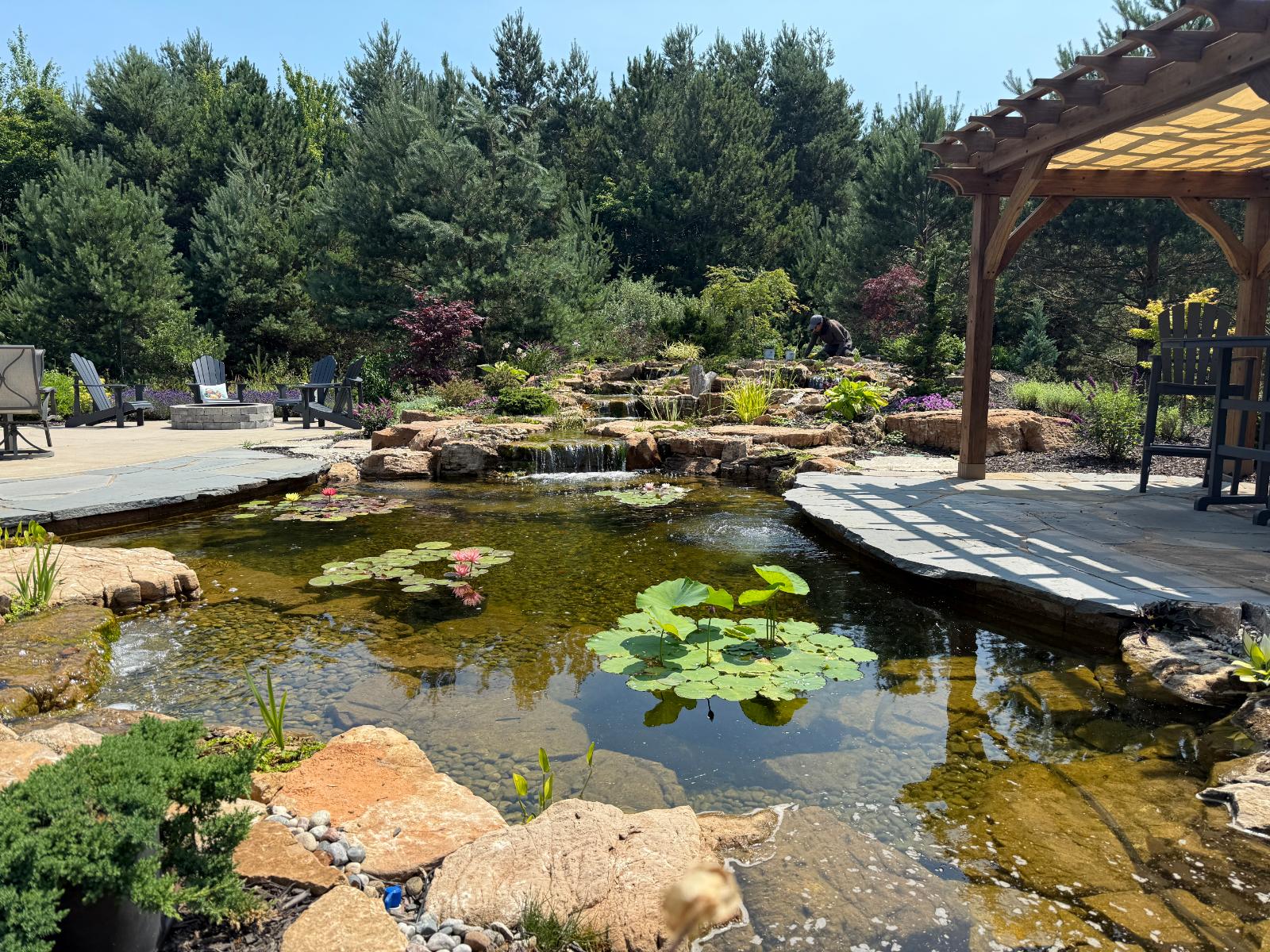 Platinum Ponds & Landscaping - Homepage