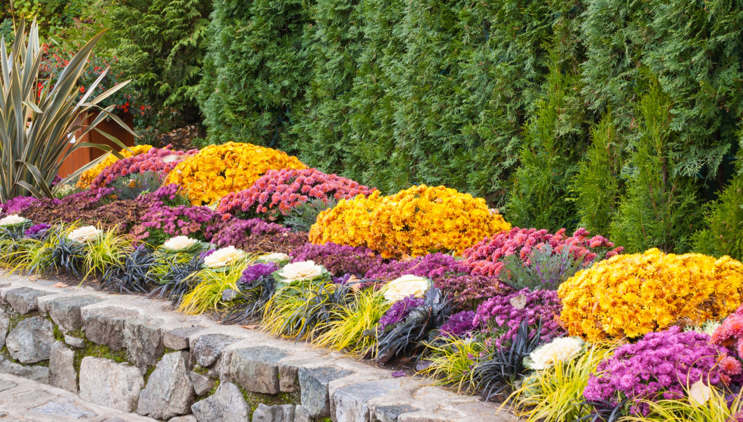Plants That Look Great in a Fall Landscape