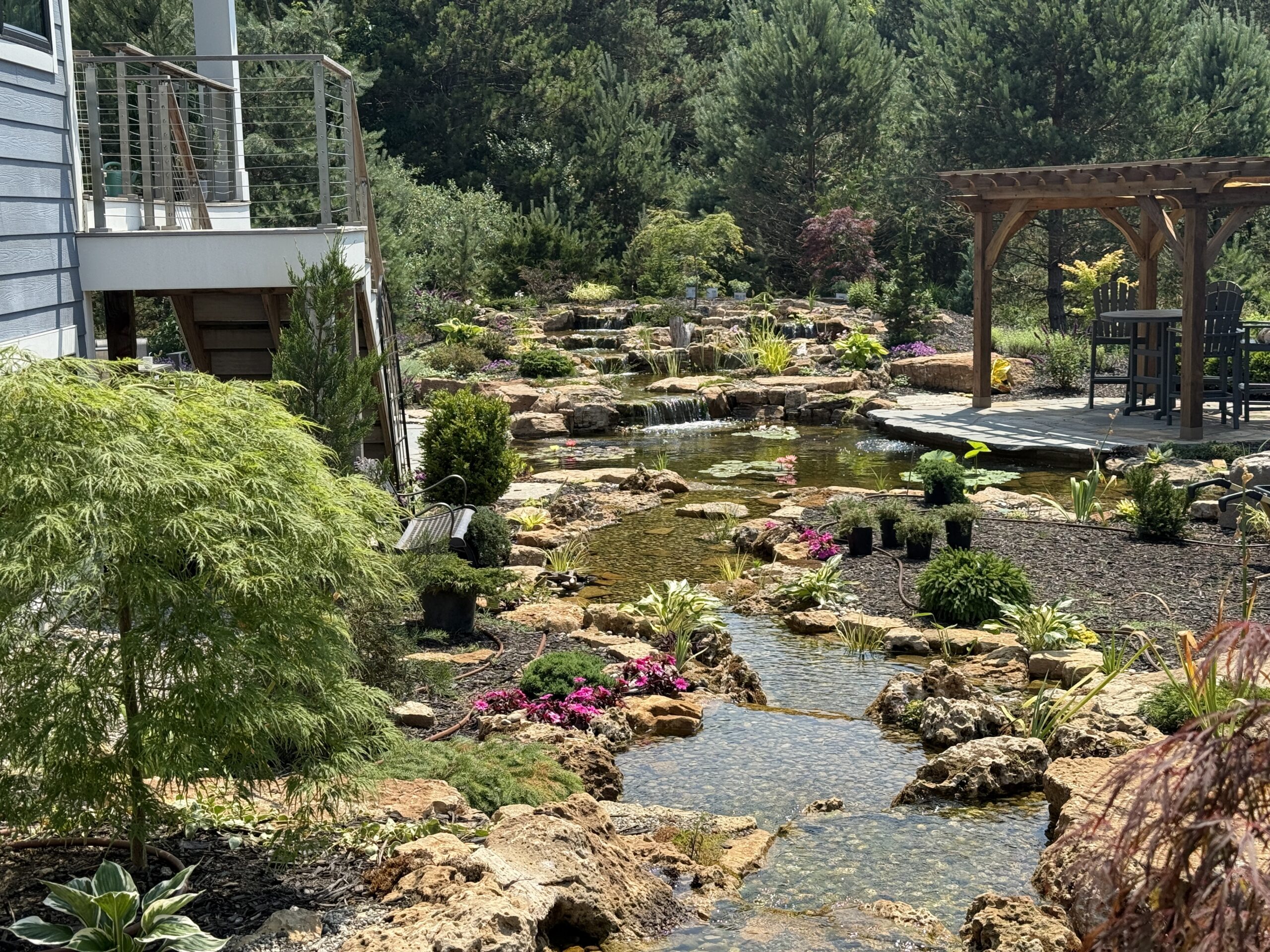 ecosystem koi pond, multiple streams, wetland filter, aquatic lighting, flagstone patio, flagstone walkway, natural stone steps