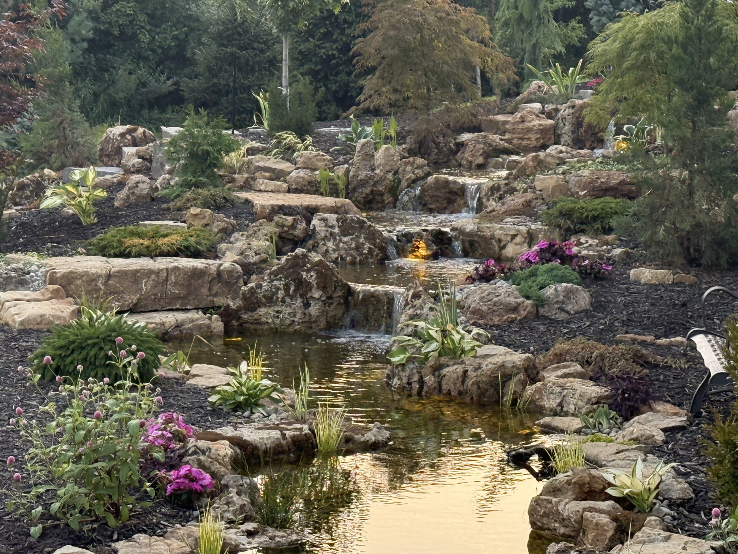 backyard stream water feature