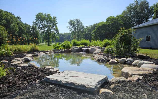 Pond renovation after
