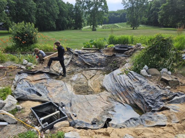 Old pond tearout