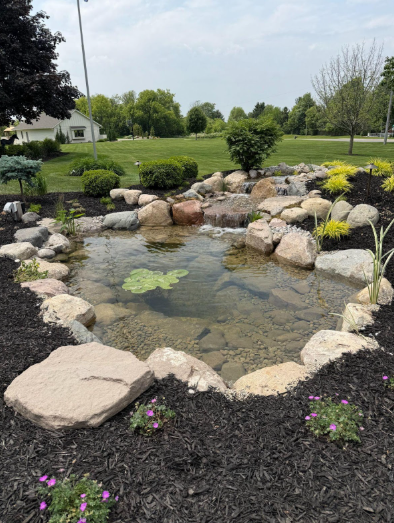 Backyard koi pond