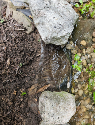 Low liner in pond edge causing leak