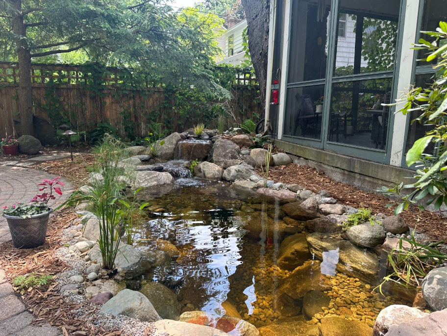 Blog 106 Existing pond