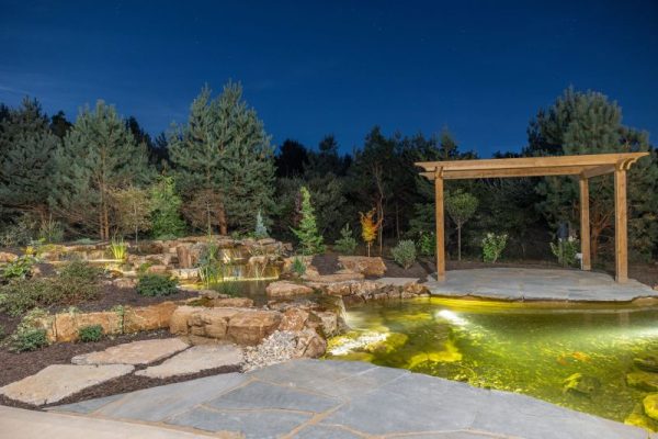 Pond at night