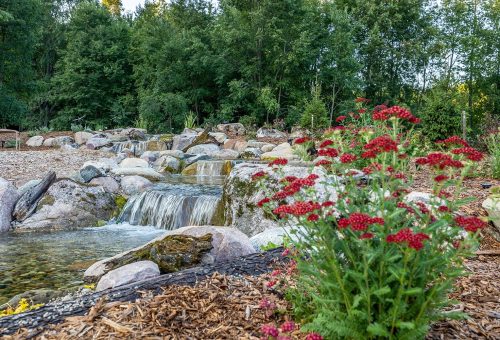 Multi-layer-waterfall Multi-layer waterfall surrounded by plants and trees.